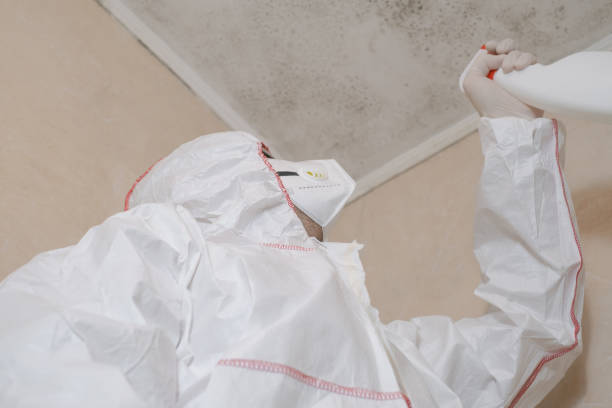 Best Mold Removal Company Near Me  in Sherwood, OH